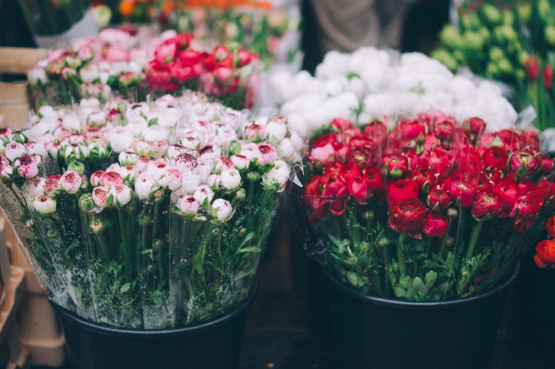 fleuriste-SEILLANS-min_farmers-market-1209712